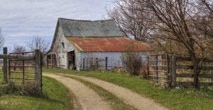 Read more about the article How To Build Pygmy Goat House