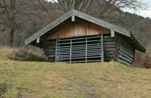 Read more about the article Building A Pygmy Goat Pen