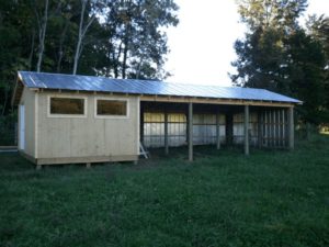 Read more about the article Pygmy Goat Shed Floor Plans